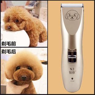 寵物剃毛器ROHS認(rèn)證如何申請(qǐng)