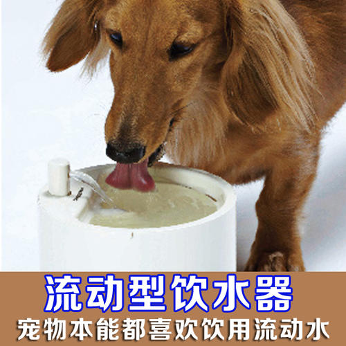 寵物飲水機做質(zhì)檢報告的好處