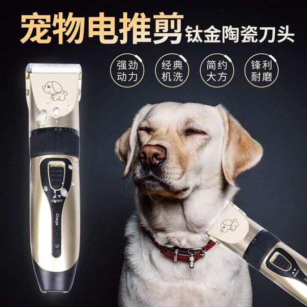 寵物剃毛器CE認(rèn)證辦理費(fèi)用多少